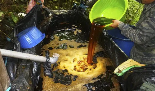 Vraem: Decomisan 44 kilos de alcaloide de cocaína y destruyen poza de maceración