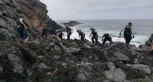 En operativo decomisan 3500 kilos de algas marinas extraídas de forma ilegal en Arequipa [FOTOS]