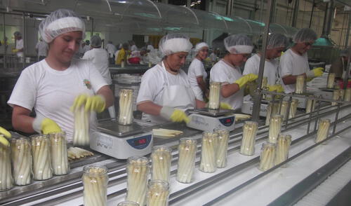 Frente Amplio plantea no extender régimen agrario, Confiep pide su continuidad