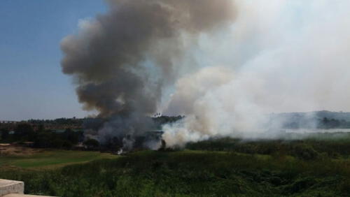 Piura: registran incendio forestal en la ribera del río Chira