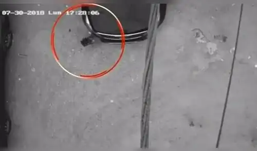 Tumbes: Camioneta arrolla a niña de 2 años y ella solo sufre rasguños Tumbes: Camioneta arrolla a niña de 2 años y ella solo sufre rasguños