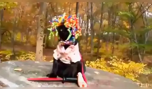 Facebook viral: parece un gato muy tierno pero esconde un maquiavélico secreto [VIDEO] 