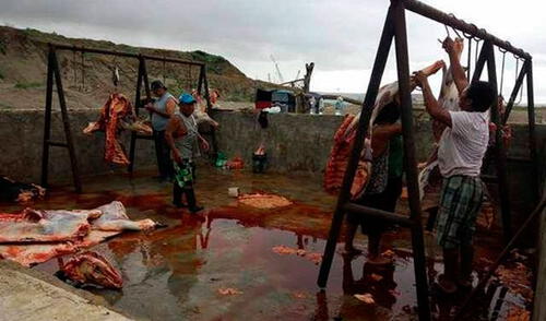 Piura: Advierten que salud de población talareña está en riesgo Piura: Advierten que salud de población talareña está en riesgo