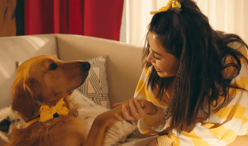 Facebook: Si te gustan los perros el video de Marshmello y Miranda Cosgrove te hará llorar