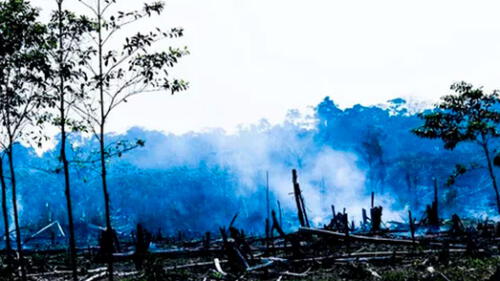 Tarauacá y Feijó son una de las ciudades más afectadas - Foto: Jardy Lopes / Archivo personal