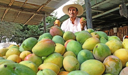 Certificación orgánica