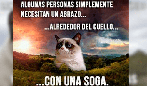 Facebook viral: miles lloran a Grumpy Cat, la gata más famosa del Internet, que acaba de morir [FOTOS]