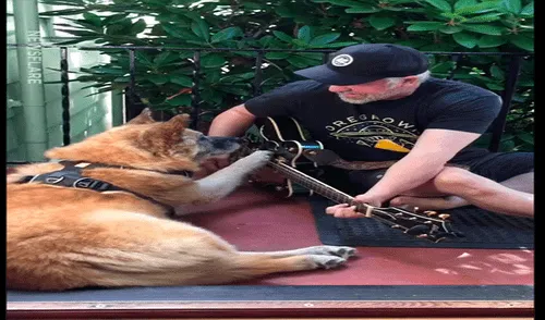 Facebook: "perro mariachi" sorprende al tocar la guitarra y se vuelve viral [VIDEO]