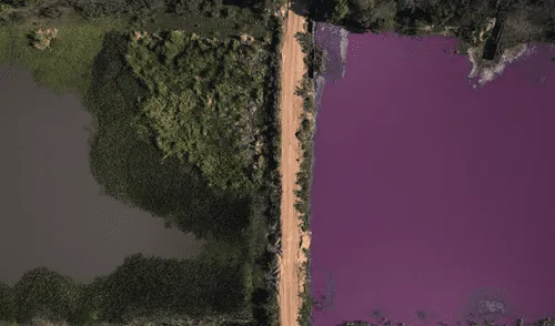 Un camino divide la laguna en el que se observa uno de color rojo y el otro de color azul. Foto: AFP Laguna se tiñe de rojo por la contaminación y mueren miles de peces en Paraguay