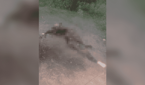 Piura: matan y calcinan a caballo de humilde agricultor