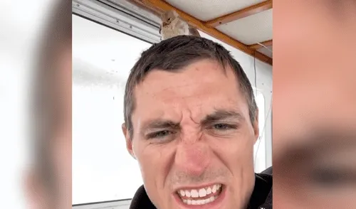 Tripulación de un barco rescata a un pájaro perdido en el mar [VIDEO]