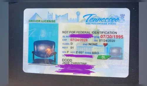 Renueva su licencia de conducir y se la envían con la foto de una silla vacía [FOTOS]