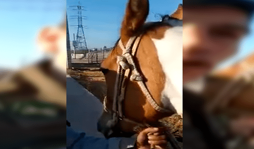 Facebook viral: niño llora de la emoción cuando policía le devuelve su caballo perdido [VIDEO]