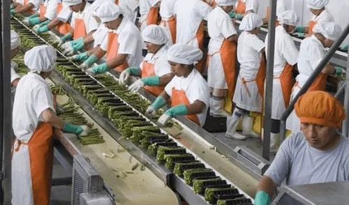 Industria cayó 7,3% en 4 años y se pierden 75 mil empleos Industria cayó 7,3% en 4 años y se pierden 75 mil empleos