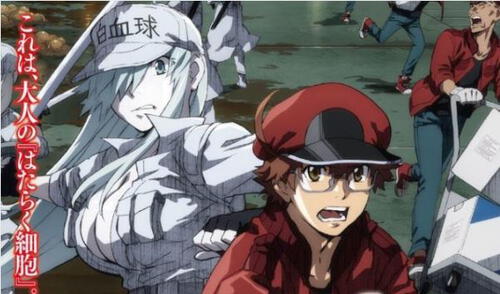 Hataraku Saibou Black