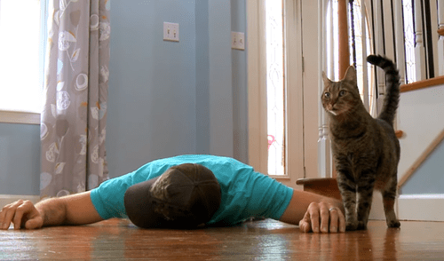 YouTube Viral: Gato hizo lo impensable al ver "muerto" a su dueño [VIDEO]
