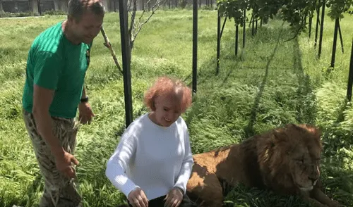 YouTube viral: Anciana detiene el carro de safari para tomarse selfie con leones y sucede lo impensado [VIDEO]