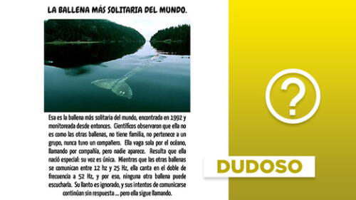 Última publicación en Facebook data del 2 de agosto. Vía "Desastres Naturales".