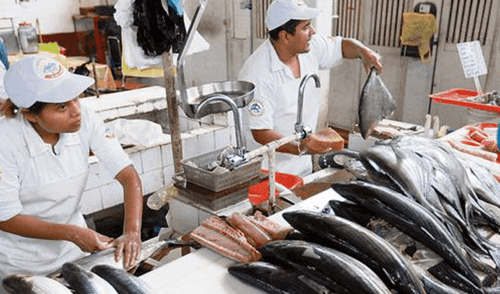 Venderán pescado fresco a precios de promoción en Trujillo