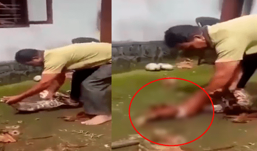 Facebook: Serpiente se come ‘almuerzo’ de señor y él recurre a insólito método para recuperarlo [VIDEO]