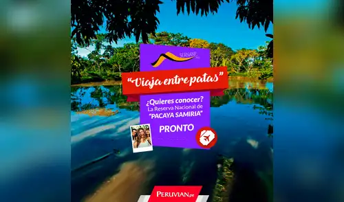 Anímate a viajar entre patas