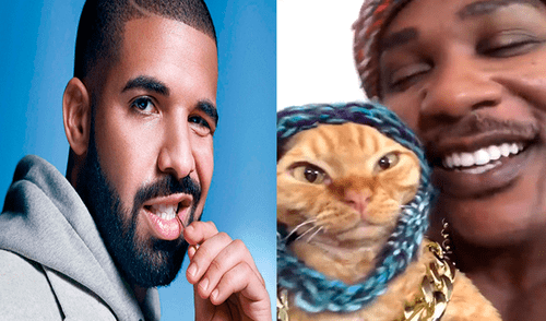 Facebook viral: joven juega con su pequeño gato y le dedica una canción de Drake a su propio estilo [VIDEO]