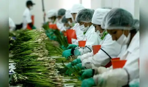 Agroexportación peruana creció 22,6% durante el primer trimestre del presente año