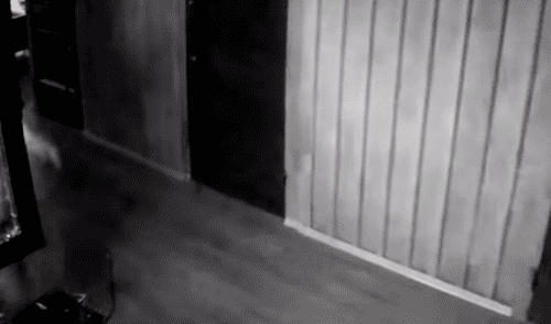 En YouTube se hizo viral la huida de un torpe ladrón al asustarse con su reflejo. Ladrón huye