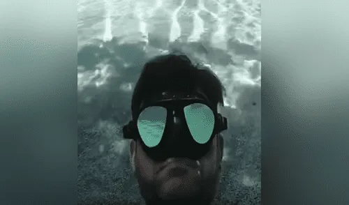 Buzo encuentra misteriosa criatura