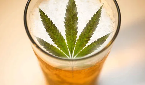 Cerveza y marihuana la fórmula millonaria de Constellation Brands
