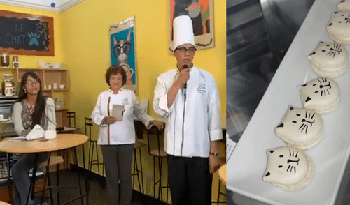 Inauguran cafetería que promueve la adopción de gatos en Arequipa.