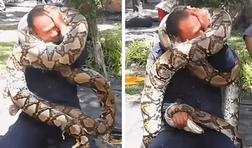 YouTube viral: Bombero es estrangulado por enorme serpiente ante la sorpresa de miles