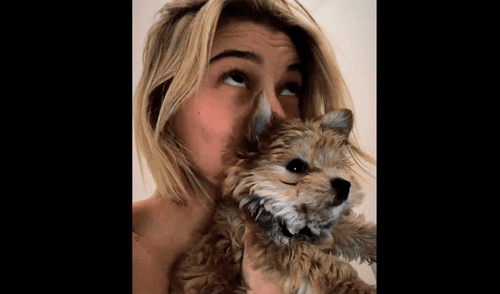 Repudian a Justin Bieber y Hailey Baldwin por supuesto maltrato animal [VIDEO]