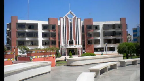 Chiclayo: lanzan ave decapitada en oficina de funcionario de municipio de JLO Chiclayo: lanzan ave decapitada en oficina de funcionario de municipio de JLO