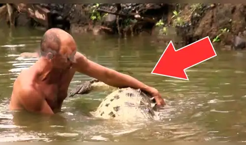 YouTube viral: hombre ingresa a recinto de cocodrilo y público queda aterrado al ver lo que sucede [VIDEO]