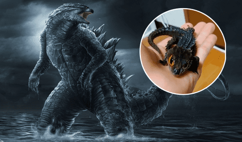 Facebook: ¿Nace el hijo de Godzilla? Video que muestra a la criatura bebé impacta en las redes