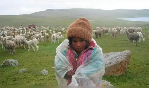 Áncash: Indeci reportó seis muertos por bajas temperaturas