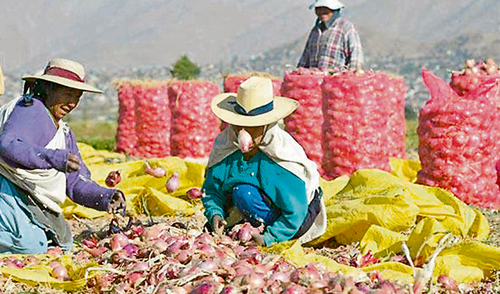 Dirigente de SADA señaló los riesgos para la agricultura y la exportación. Foto: La República