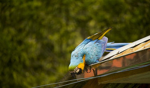 Un viaje por carretera desde Lima a Oxapampa puede tomar hasta 15 horas con mal clima. Foto: difusión