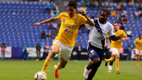 Tigres se medirá frente a Puebla por la jornada 4 de la Liga MX de este viernes 13 de agosto, solo una diferencia de 3 puntos lo separa. Foto: EFE