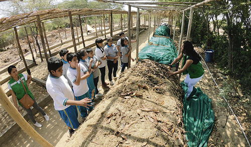 El compostaje permite reducir el volumen de los residuos sólidos entre 40% y 50% y concede ampliar la vida útil de los rellenos sanitarios. Foto: difusión