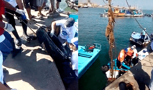 Buzos cumplen con exámenes médicos para lograr formalización. Foto: La República.