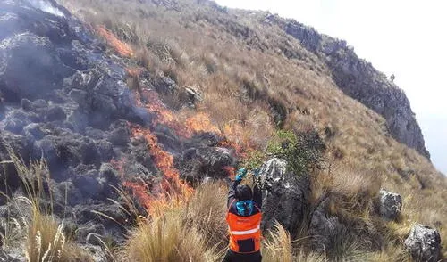 Incendios forestales fueron reportados en Tumbes y Apurímac. Foto: referencial La República Incendios forestales fueron reportados en Tumbes y Apurímac. Foto: referencial La República