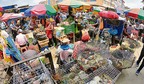 Con respecto a las frutas, el kilo de mandarina está costando S/ 7, cuando anteriormente estaba a S/ 3. Foto: LR