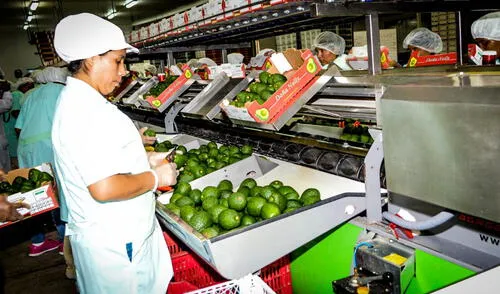La agroindustria, textiles y minería, son los tres sectores beneficiados con los TLC.  Foto: archivo La República