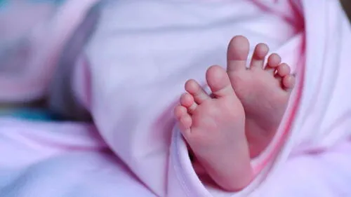 Pequeña no resistió la última cirugía que le practicaron. Foto: Referencia / Pixabay