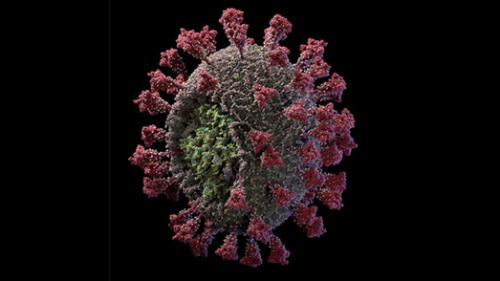 Imagen 3D del coronavirus SARS-CoV-2. Crédito: Visual Science Imagen 3D del coronavirus SARS-CoV-2. Crédito: Visual Science