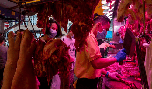 Argentina. En el primer mes de vigencia de las restricciones a las exportaciones bovinas se obtuvieron US$ 159,9 millones, el peor indicador del año. Foto: EFE