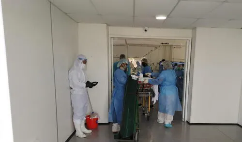 Claudia Quezada exhortó a brindar alternativas de solución para frenar los casos. Foto: La República