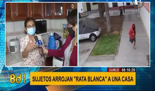La dueña de la casa aún no identifica a los atacantes. Foto: captura de Buenos Días Perú
